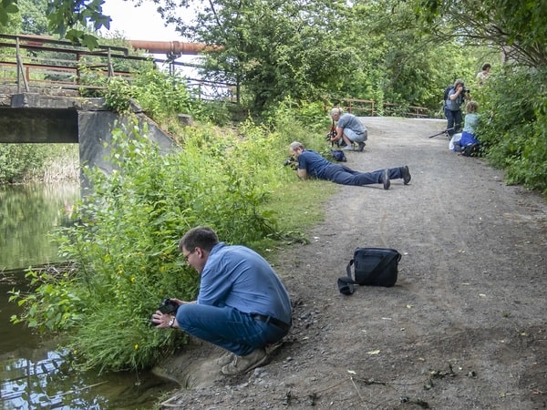 Wunder am Wegrand © Hans-Peter Schaub