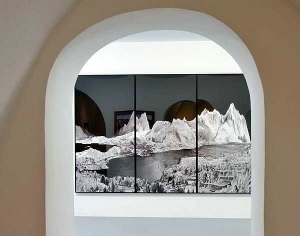 Landschaftsbild von Daniel und Geo Fuchs in ihrer Ausstellung „Nature & Destruction“. 