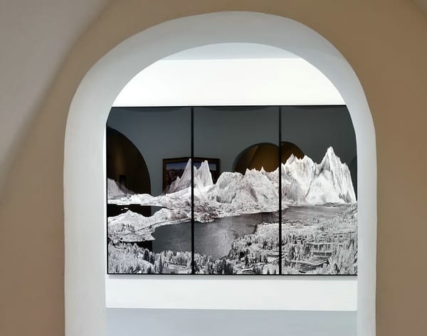 Landschaftsbild von Daniel und Geo Fuchs in ihrer Ausstellung „Nature & Destruction“.