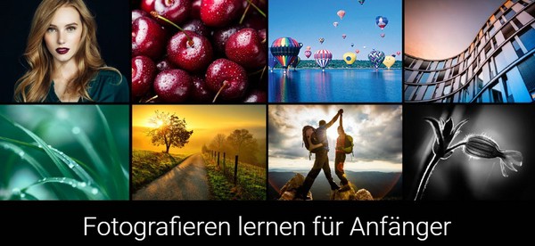 Screenshot: 8 Beispielbilder aus dem kostenlosen Online-Angebot des Rheinwerk Verlag