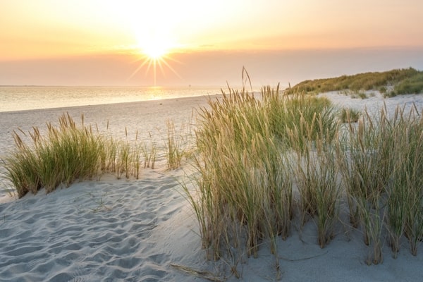 Sonnenaufgang in den Dünen im Naturschutzgebiet Ellenbogen, Sylt, Schleswig-Holstein, Deutschland