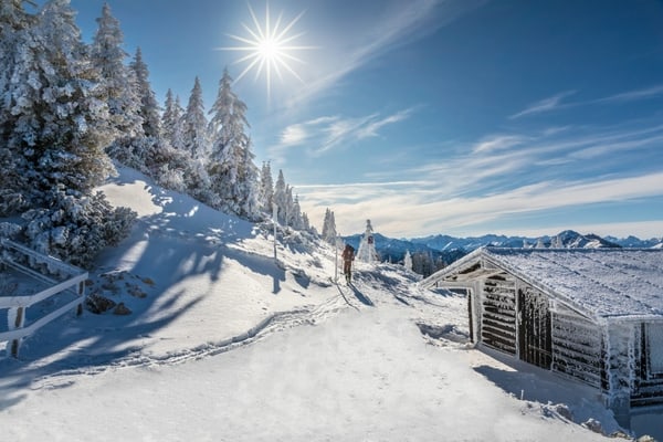 Verschneiter Winterwald am Tegelberg im Ammergebirge, Schwangau, Allgäu, Bayern