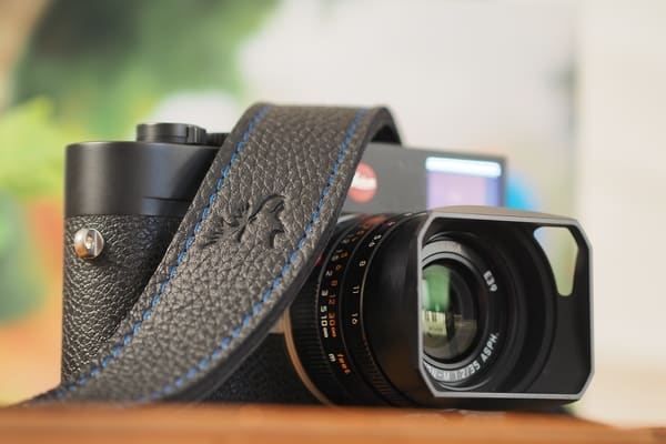 EddyCam Kameragurt schwarz mit blauer Kontrastnaht
