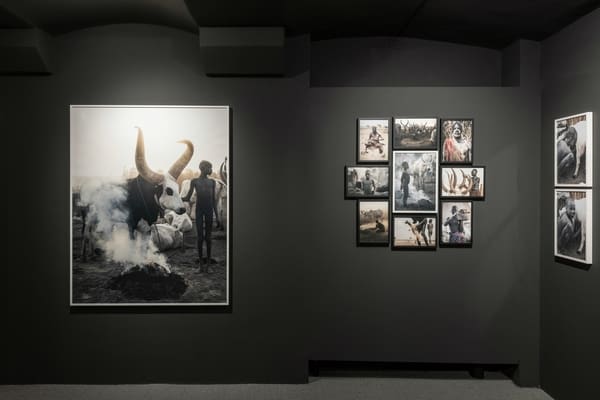 Ausstellung der Bilder von Gian Giovanoli vor dunkler Wand