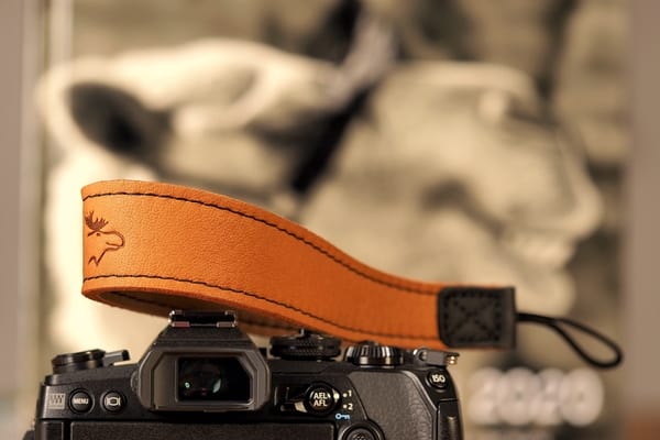EDDYCAM Sling Handschlaufe auf Kamera