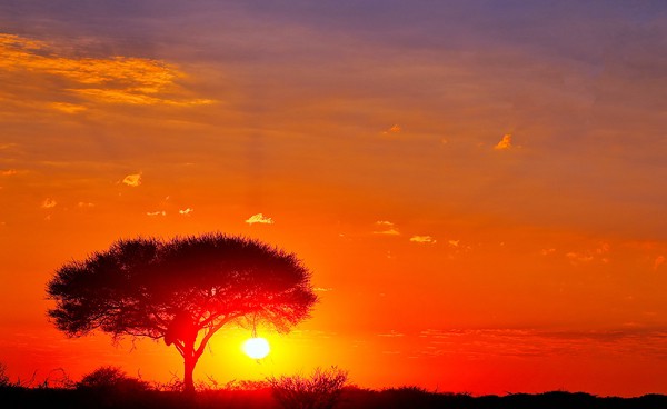 Sonnenaufgang, Etosha-Nationalpark, Namibia