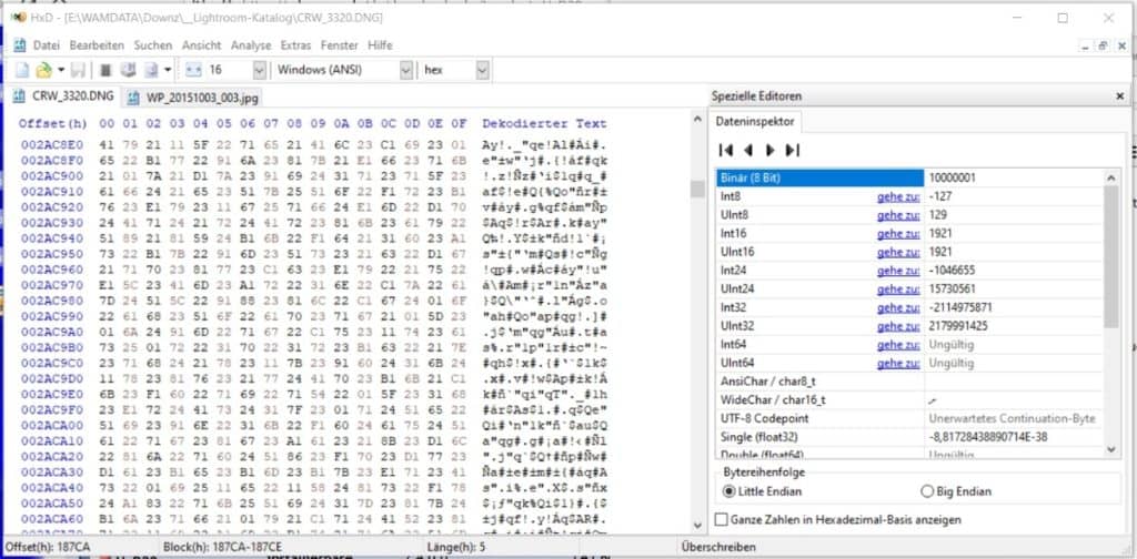 mit einem HEX-Editor sichtbare gemachte DNG-Datei