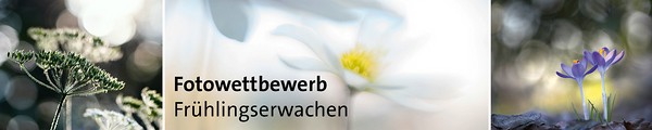 k_Fotowettbewerb-2.jpg