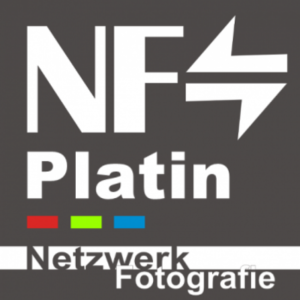 Logo NF Platin