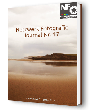 nf_journal_17_small