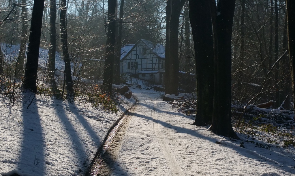 Wintertraum Jetzt noch schnell mitmachen: Fotowettbewerbe enden am 31.03.2017