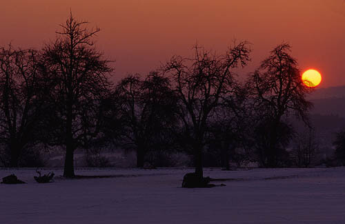 Winterabend_Lindenberg_7_500.jpg