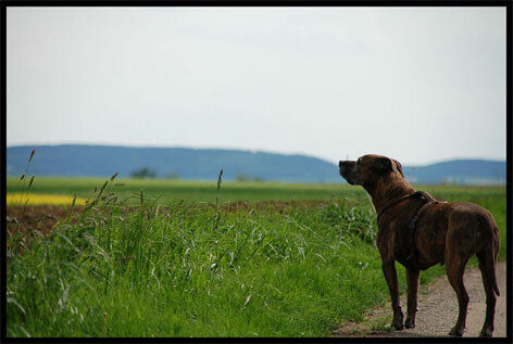 DSC_1856.jpg