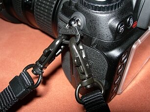 DSCN1254_small.jpg