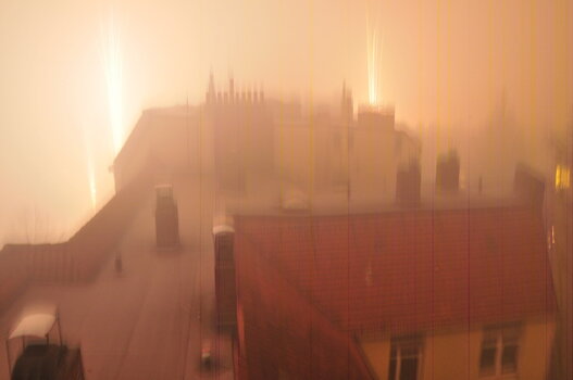 sylvester im nebel streifen.jpg