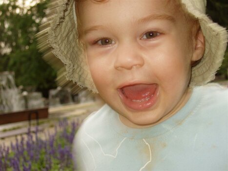 Juli 2006 040 (Large).jpg