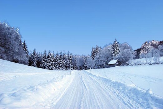 Bild1a.jpg