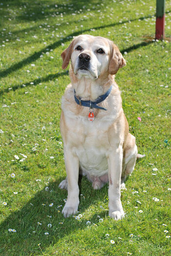 DSC_0321.jpg DSC_0321.jpg