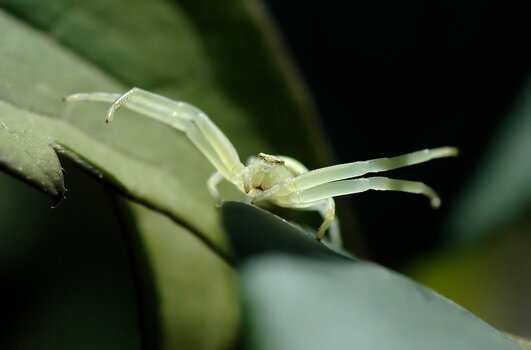 DSC_5044a.jpg