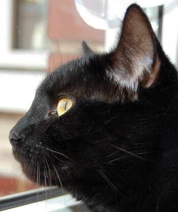 DSC_0002.jpg