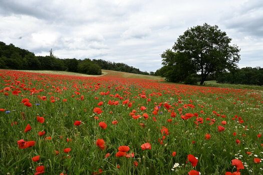 DSC_8733_072.JPG DSC_8733_072.JPG