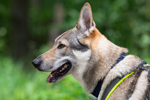 twh-3678.jpg