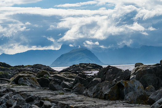 DSC_2247.jpg