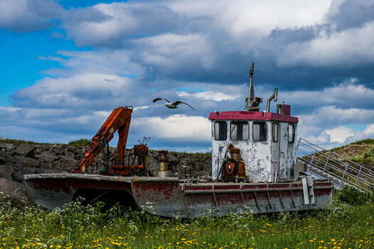 DSC_2197.jpg