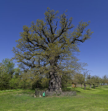 DSC_1523_DxO.jpg