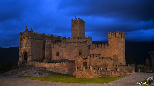 s260510_2142_CastilloDeJavier_4566.jpg