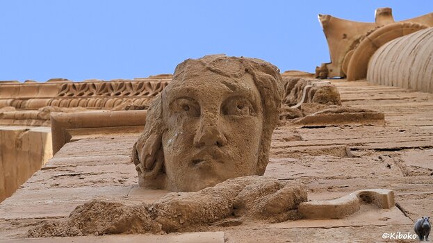 s250927_1605_Hatra_Kopf_1161.jpg
