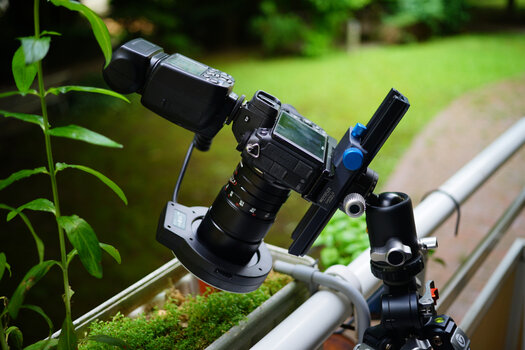 Makro-Setup im Freien mit Nikon Z Kamera, 7Artisans 60mm Makroobjektiv und Ringblitz für Nahaufnahmen. Makro-Setup im Freien mit Nikon Z Kamera, 7Artisans 60mm Makroobjektiv und Ringblitz für Nahaufnahmen.