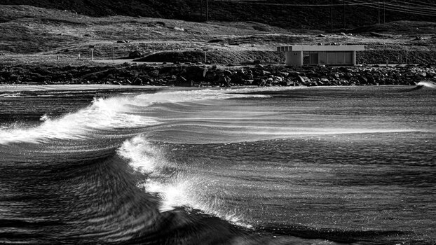 DSC_2469-2.jpg