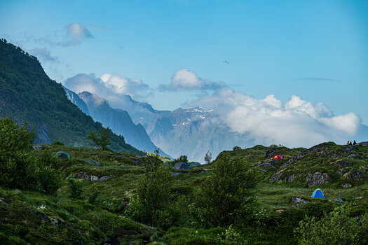 DSC_2524.jpg