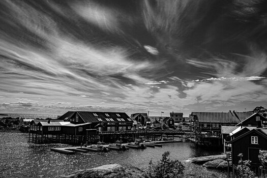 DSC_2546-2.jpg