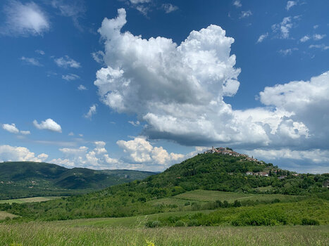 20260519-133449.jpg