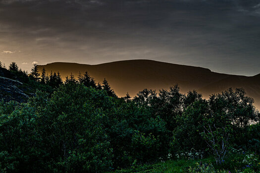DSC_2692-2.jpg