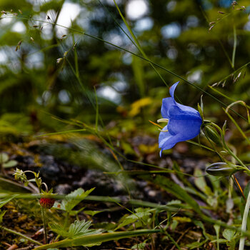 DSC_1935-DxO_DeepPRIME XD2s_DxO.jpg