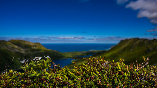 DSC_2823.jpg
