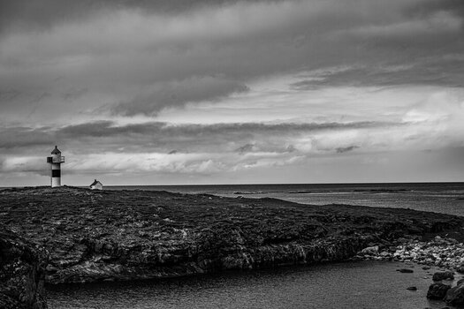 DSC_2791-2.jpg