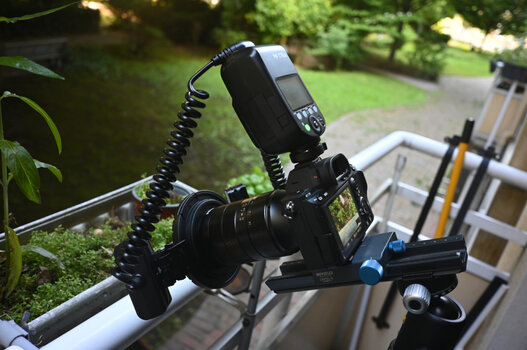 Makrofotografie-Praxisaufbau im Freien mit einer Systemkamera auf einem Novoflex Castel-Q Einstellschlitten und dem Godox MF-T76 Twin-Flash an einem Balkonkasten. Makrofotografie-Praxisaufbau im Freien mit einer Systemkamera auf einem Novoflex Castel-Q Einstellschlitten und dem Godox MF-T76 Twin-Flash an einem Balkonkasten.