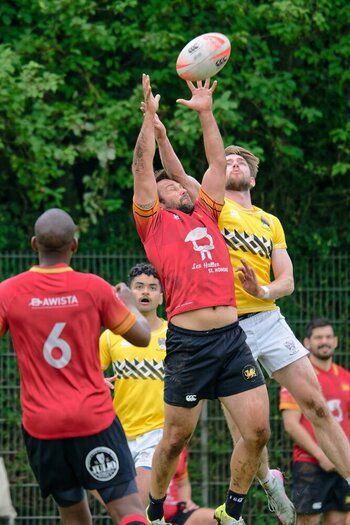 DSC_5019_DxO - Kopie.jpg