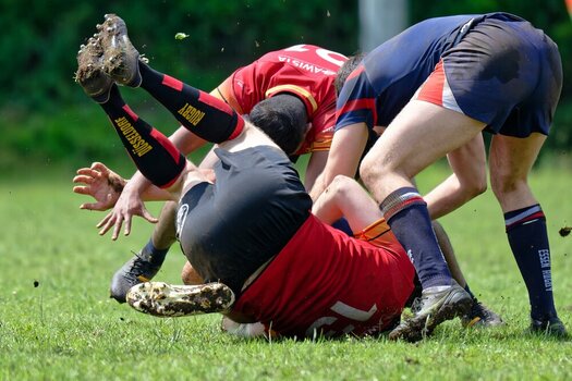 DSC_6695_DxO - Kopie.jpg