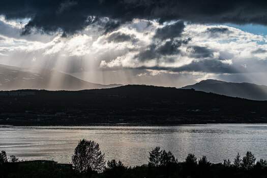 DSC_2922-2.jpg