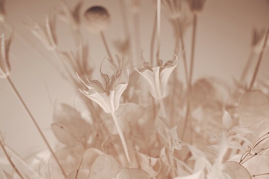 k_b070z-yuki-hirotani-snap3.jpg