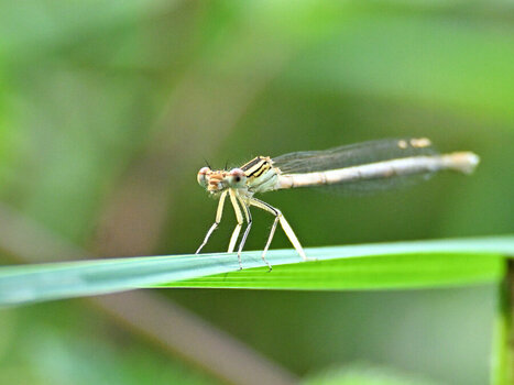 DSC_9943_091.JPG