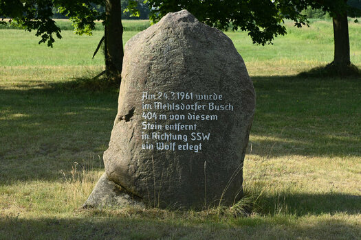 Mehlsdorf_Wolfstein_19610324_web.JPG