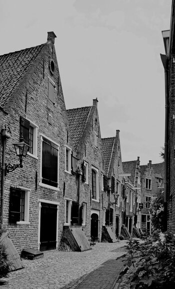 DSC_4337.JPG