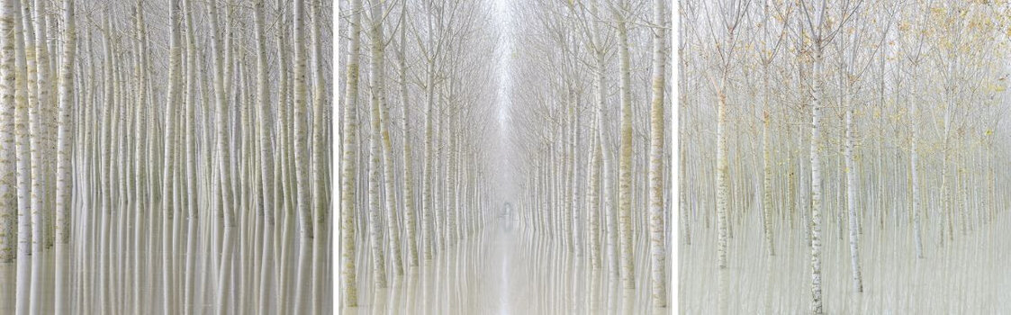 Gewinner-Serie der Kategorie Landschaft bei den Hasselblad Masters 2026 von Rohan Reilly.