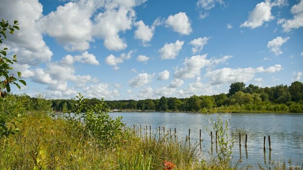 2607_Sommer am Ümminger See_085_04.jpg